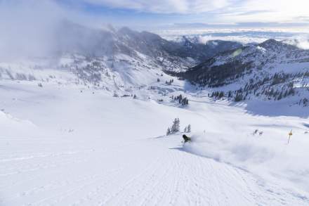 snowbird skiing