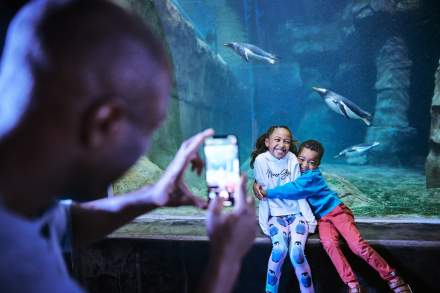 Father and kids at the Loveland Living Planet Aquarium