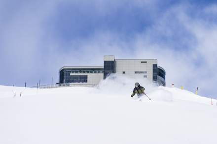 snowbird