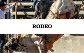 2026 Hyrum Star Spangled Rodeo