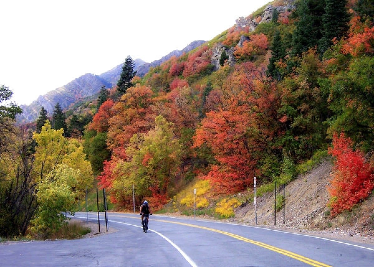 Millcreek Canyon