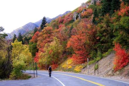 Millcreek Canyon Mountain Biking