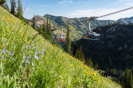 Aerial Tram at Snowbird