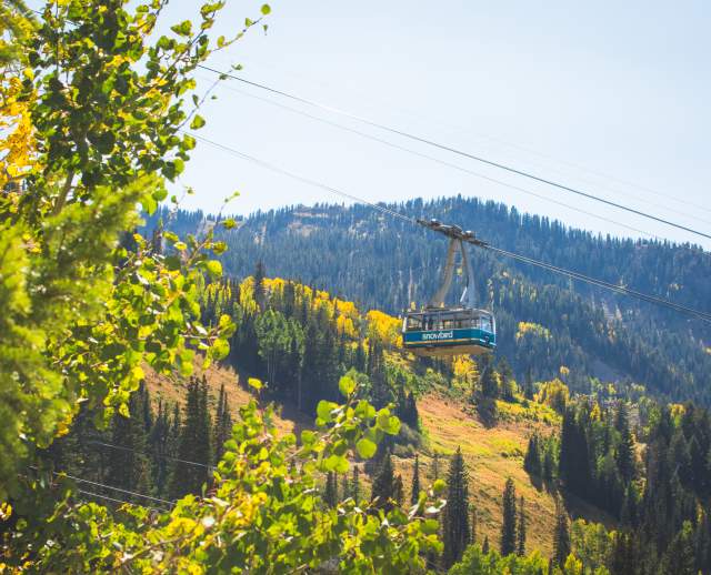 Aerial Tram at Snowbird in the Fall
