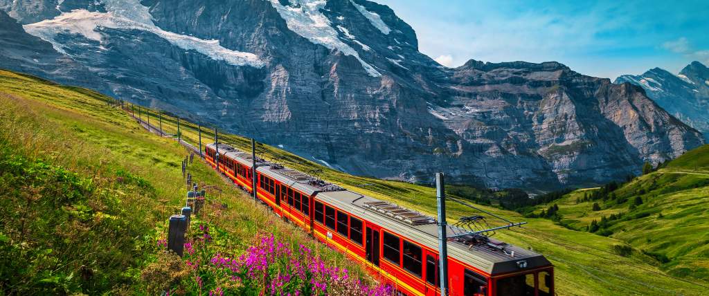 Red train traveling through a green mountainside field with snow covered swiss alps in the background