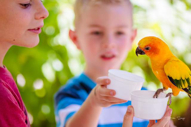Tracy Aviary