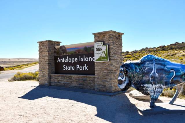 Great Salt Lake & Antelope Island 1-Day Tour