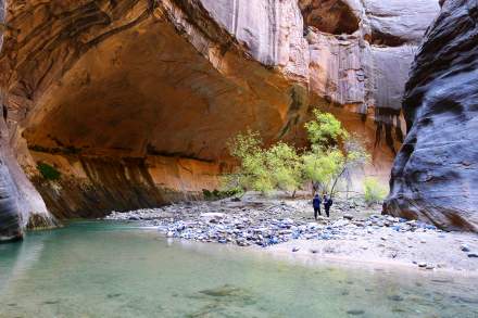 Hiking the Narrows in Zion National Park