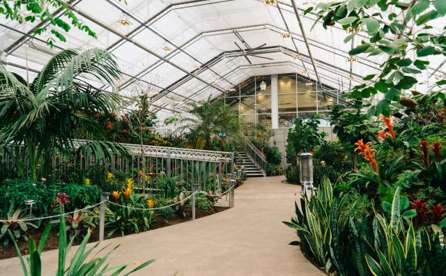 Butterfly Biosphere