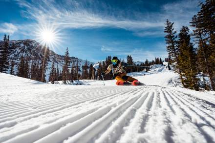 Snowbird 2024-2025