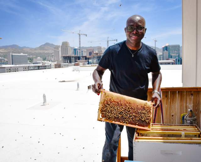 Adesina Daniel Oduntan - Bee-Craft Consult