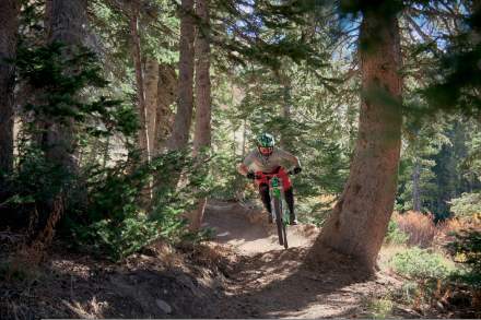Mountain Biking on Big Mountain Trail