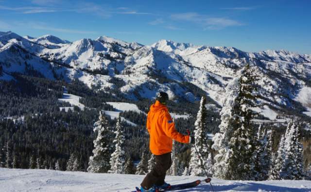 Brighton - Ski With An Arborist