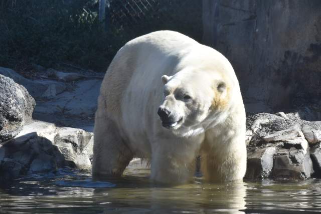 Utah's Hogle Zoo