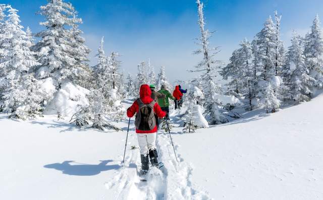 Snowshoe with a Naturalist at Alta
