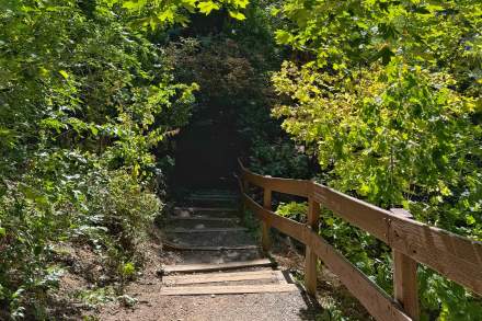 Image of a trail in Miller Bird Refuge