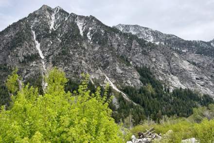 Image of Lisa Falls Hike