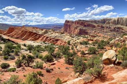 Capitol Reef National Park