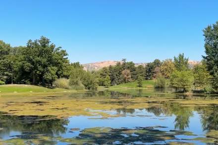 Image of the pond at liberty park