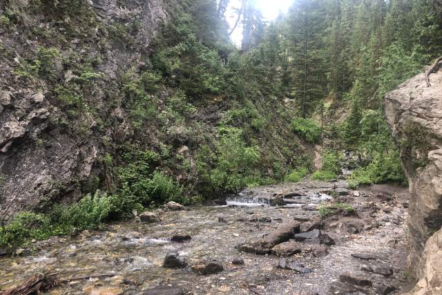 Donut Falls Trail
