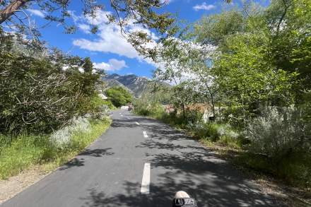 Paved trail with dashed line down the middle. There are green trees and bushes on each side. There is a wheelchair going down it in the distance and a rider on a recumbent bicycle