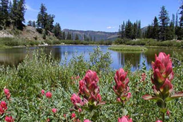 Silver Lake/Lake Solitude
