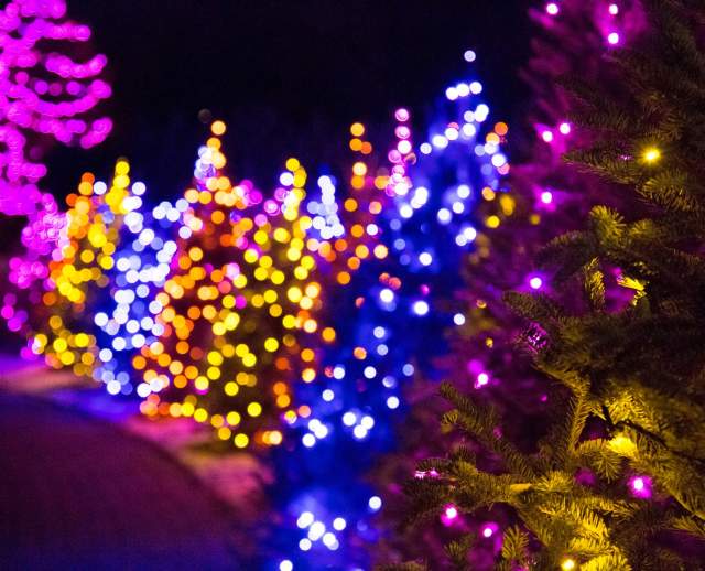 Luminaria at Thanksgiving Point