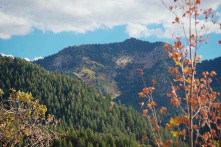 Millcreek Pipeline Mountain Bike Trail via Rattlesnake Gulch