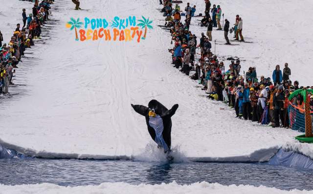 Person in a penguin suit skiing across a pond