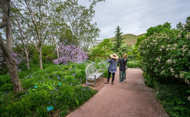 Red Butte Garden and Arboretum - Utah's Botanical Garden