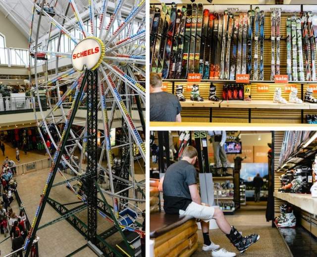 Scheels Collage