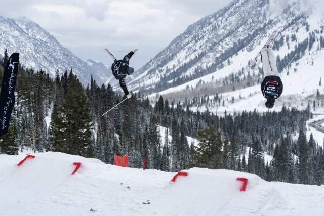 Snowbird