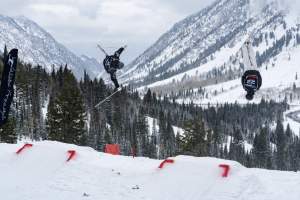 Snowbird