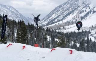 Snowbird