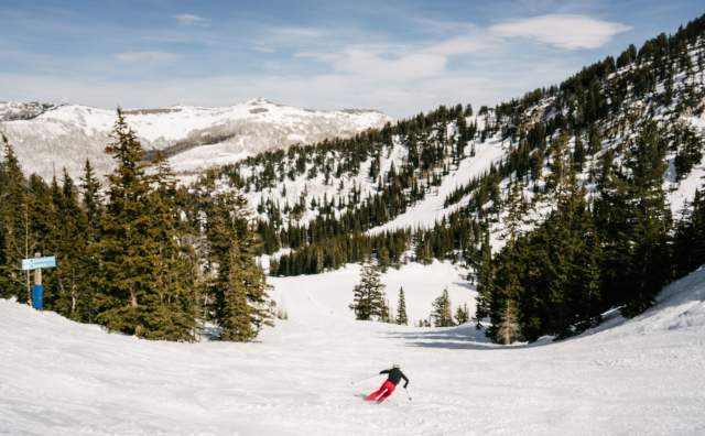 Solitude Skier