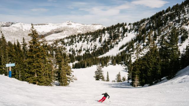 Solitude Skier