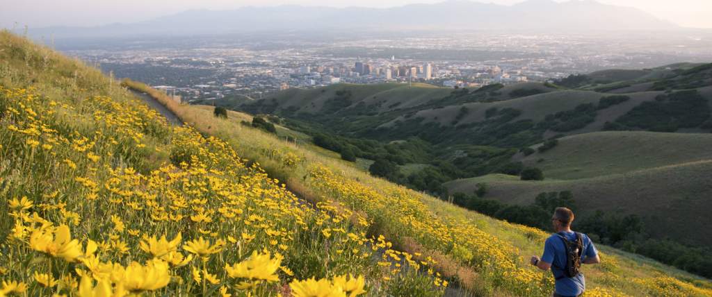 Field of yellow flowers with Salt Lake City in the background and a man is running along a trail