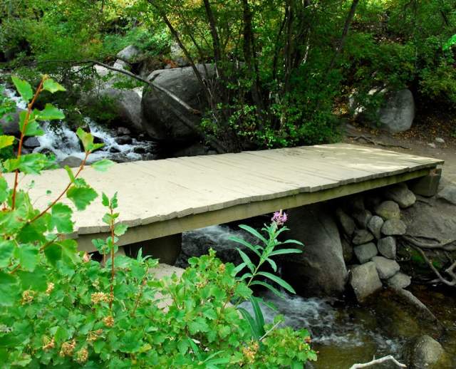 Hiking Trails in Sandy