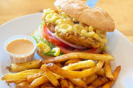 Image of a Vegan Burger and fries with fry sauce at the vertical diner in salt lake