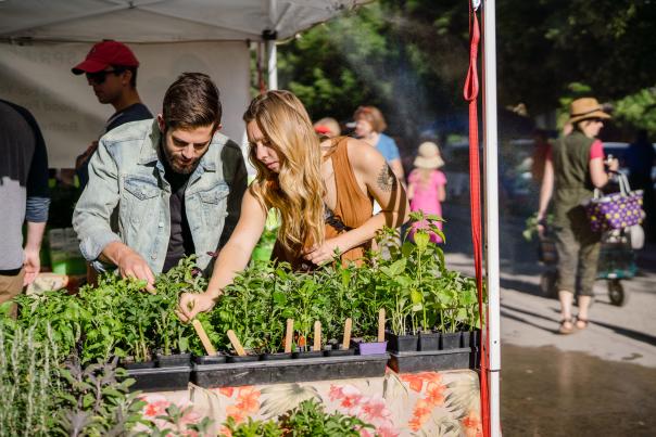 Farmers' Market