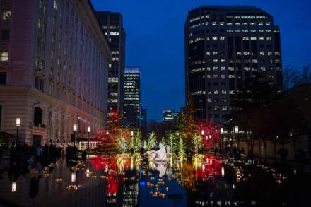 Don't miss the Reflection Pool during the Temple Lights