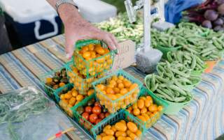 Vegetables at Wheeler Farm Farmers' Market