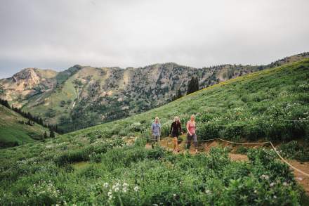 3 people hiking on a path through the wildflowers with mountains in the background