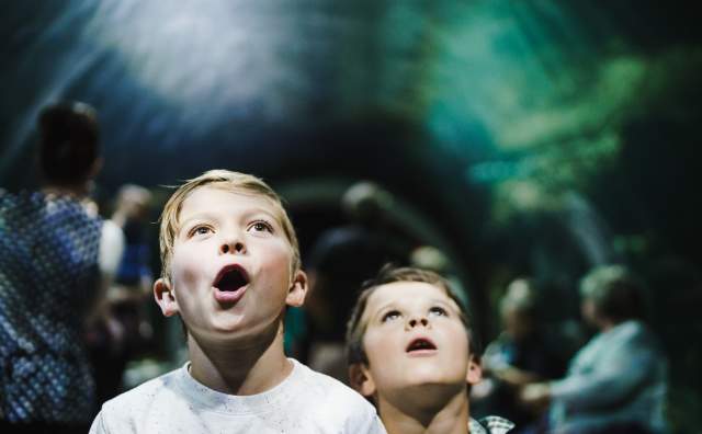Kids at the Loveland Living Planet Aquarium