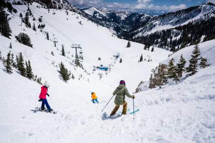 Ski 3 2019