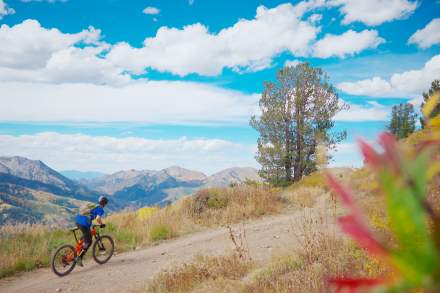 Wasatch Crest Trail Mountain Bike Ride